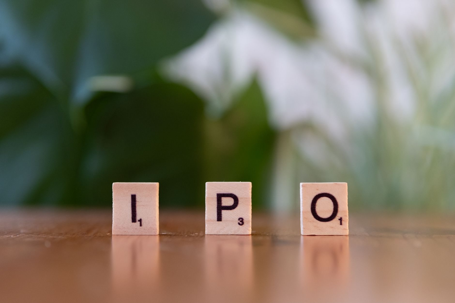 NSE IPO action