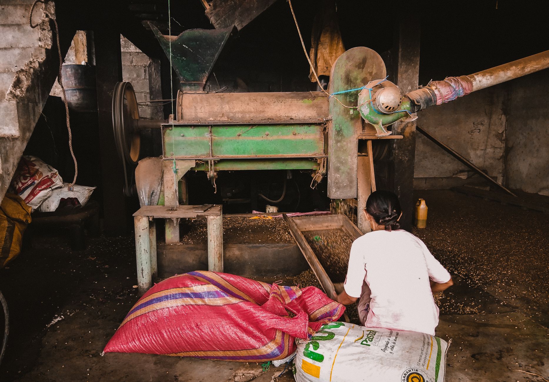 Balrampur Chini Mills