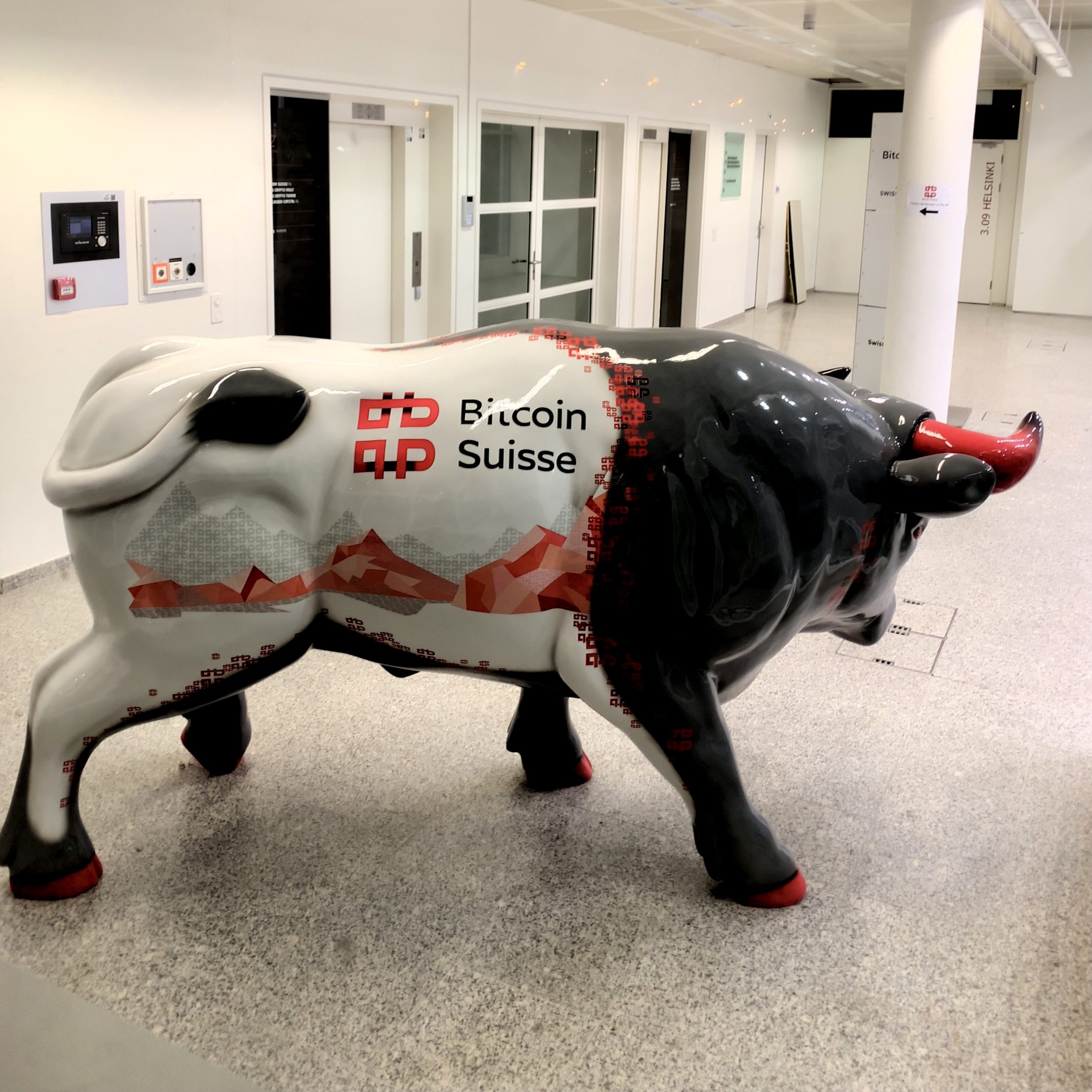 Bitcoin bull run